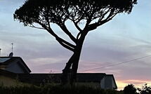 Photo submitted by guest of Antonia