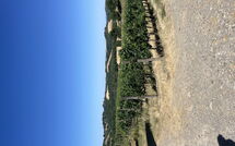 Photo submitted by guest of Villa le Buche