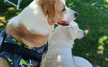 Photo submitted by guest of Villa Mira