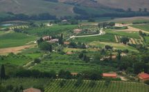 Photo submitted by guest of Podere la Marronaia