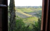 Foto pubblicata dell'ospite di Certaldo