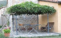 Foto pubblicata dell'ospite di Casa la Primula