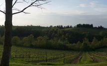 Foto pubblicata dell'ospite di Borgo Tollena