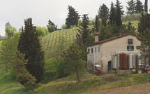 Foto pubblicata dell'ospite di Borgo Tollena