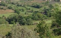 Foto pubblicata dell'ospite di Agriturismo Paterno