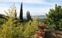 Foto pubblicata dell'ospite di Le Pergole