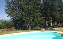Foto pubblicata dell'ospite di La Chiesina di Vittorio