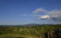 Foto pubblicata dell'ospite di Collina