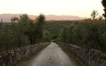 Foto pubblicata dell'ospite di Collina