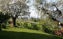 Photo submitted by guest of Casa Lucia