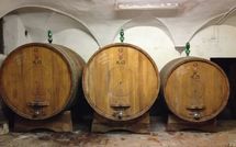 Foto pubblicata dell'ospite di Villa del Mughetto