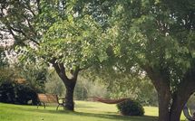 Foto pubblicata dell'ospite di La Puzzola