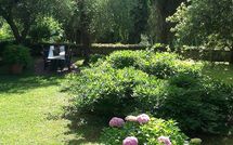 Foto pubblicata dell'ospite di Tenuta Villa la Chiusa Schnautzer