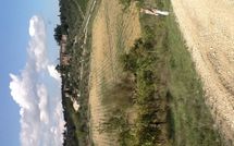 Foto pubblicata dell'ospite di Villa Gallo Nero