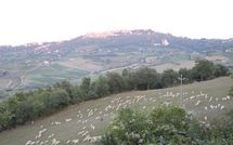 Foto pubblicata dell'ospite di Villa Nibbiano