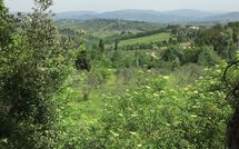 Foto pubblicata dell'ospite di Villa Saladini