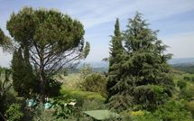 Foto pubblicata dell'ospite di Giovanna Vacanze