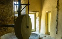 Foto pubblicata dell'ospite di Podere Torremozza