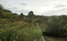 Foto pubblicata dell'ospite di Villa Cinzia