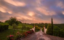 Foto pubblicata dell'ospite di Podere Romina Exclusive