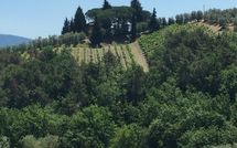 Photo submitted by guest of Villa Fabbiolle All'Impruneta