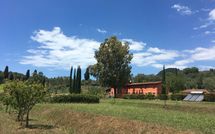 Foto pubblicata dell'ospite di Al Valentino