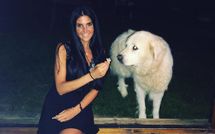 Photo submitted by guest of Villa Ardene