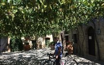 Foto pubblicata dell'ospite di Villa Piazza della Fortezza