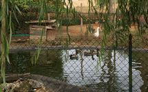 Photo submitted by guest of Pagliazzone