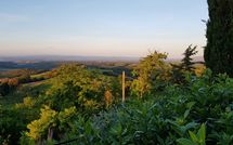 Foto pubblicata dell'ospite di Giovanna Vacanze