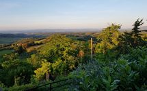 Foto pubblicata dell'ospite di Giovanna Vacanze