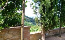 Foto pubblicata dell'ospite di Le Pergole