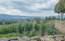 Photo submitted by guest of Villa Agazzi