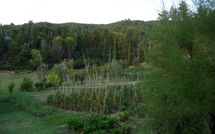 Foto pubblicata dell'ospite di Rufina 200