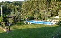 Foto pubblicata dell'ospite di Rufina 200