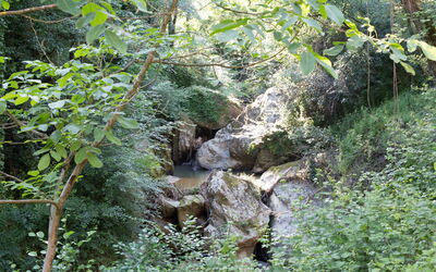 Podere Il Doccio