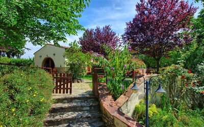 Casa Alberto