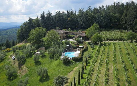 Villa Flora: Hill Station, Highland, Biome, Natura Selvaggia, Piantagione, Albero, Paesaggio, Area Rurale, Lotto, Fotografia