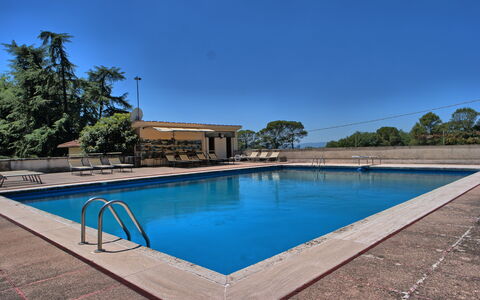 Il Poggio Di Patrignone: Piscina, Proprietà, Immobiliare, Casa, Acqua, Tempo Libero, Estate, Casa, Zona Residenziale, Costruzione