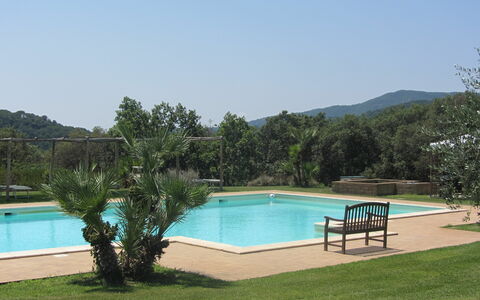 Villa Di Seripa: Piscina, Proprietà, Erba, Ricorrere, Tempo Libero, Immobiliare, Casa, Vacanza, Estate, Albero