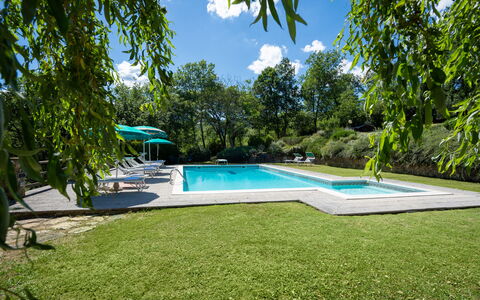 Podere Schignano: Sky, Plant, Cloud, Water, Swimming Pool, Shade, Land Lot, Arecales, Condominium, Tree