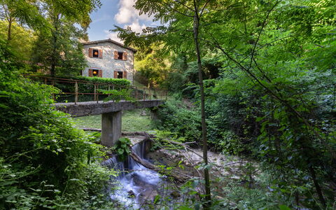 La Ripresa: Natura, Acqua, Vegetazione, Verde, Alveo, Albero, Riserva Naturale, Ambiente Naturale, Biome, Fiume