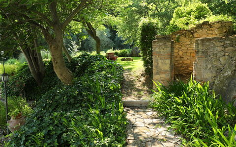 Oasis: Vegetation, Natural Landscape, Nature, Green, Tree, Grass, Nature Reserve, Leaf, Natural Environment, Plant