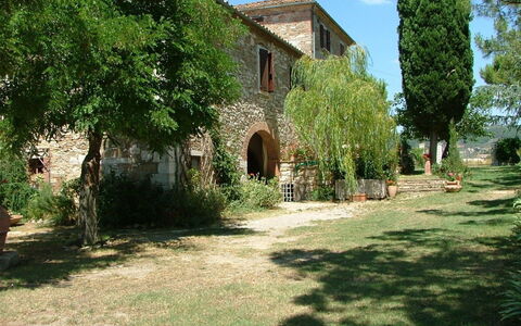 Agriturismo Il Molinello: Proprietà, Casa, Costruzione, Albero, Erba, Estate, Immobiliare, Architettura, Hacienda, Area Rurale