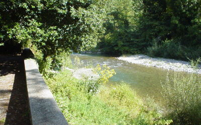 Torrente Lima