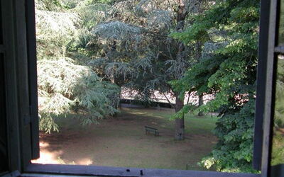 Vista del giardino dalla casa