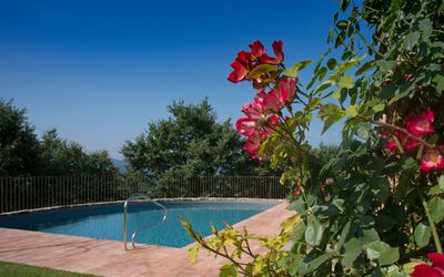 Casa vacanza Villa Mandorlo - Arezzo, Toscana, Italia