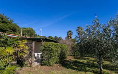 Alloggio:&nbsp;Straccoligno 290.1