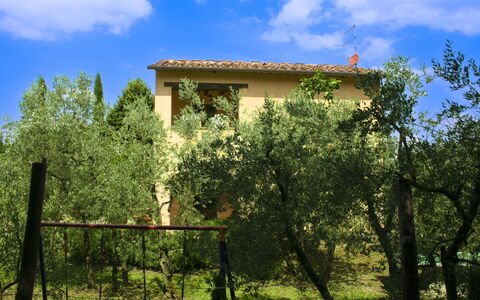 Collina dei Fiori: Albero, Foglia, Vegetazione, Arbusto, Lotto, Casa, Area Rurale, Primavera, Villetta, Giardino