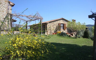 Exclusive Solane Di Sotto